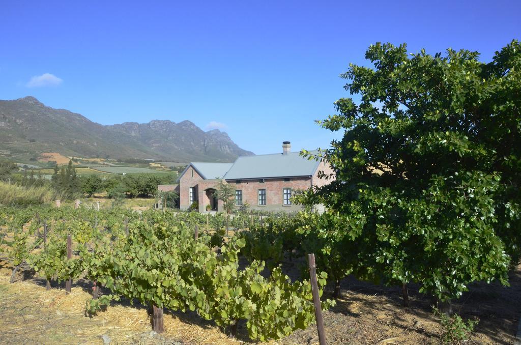 Vineyard Views Country House Riebeek-Kasteel Dış mekan fotoğraf
