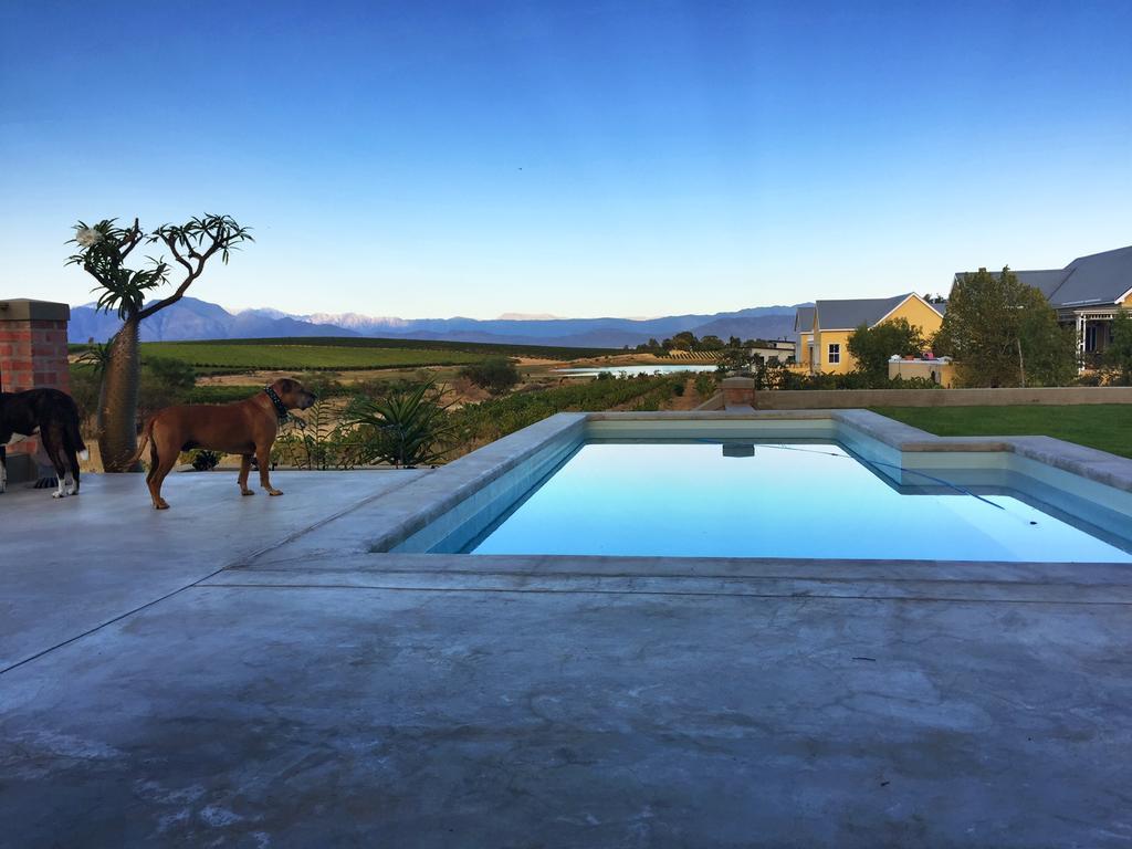 Vineyard Views Country House Riebeek-Kasteel Dış mekan fotoğraf