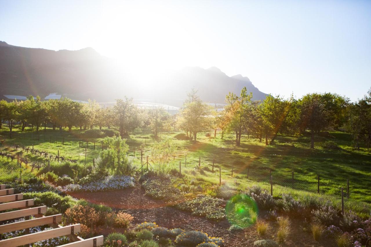 Vineyard Views Country House Riebeek-Kasteel Dış mekan fotoğraf