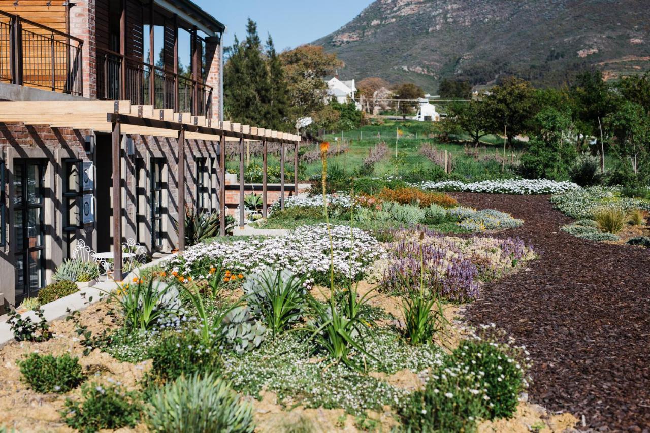 Vineyard Views Country House Riebeek-Kasteel Dış mekan fotoğraf