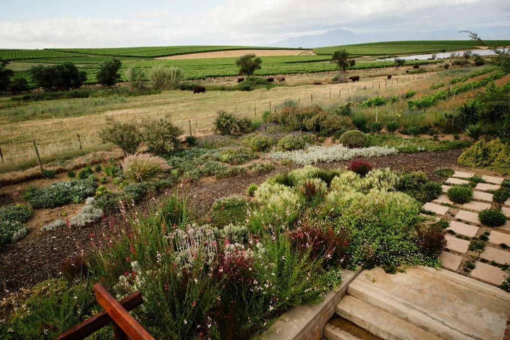 Vineyard Views Country House Riebeek-Kasteel Dış mekan fotoğraf