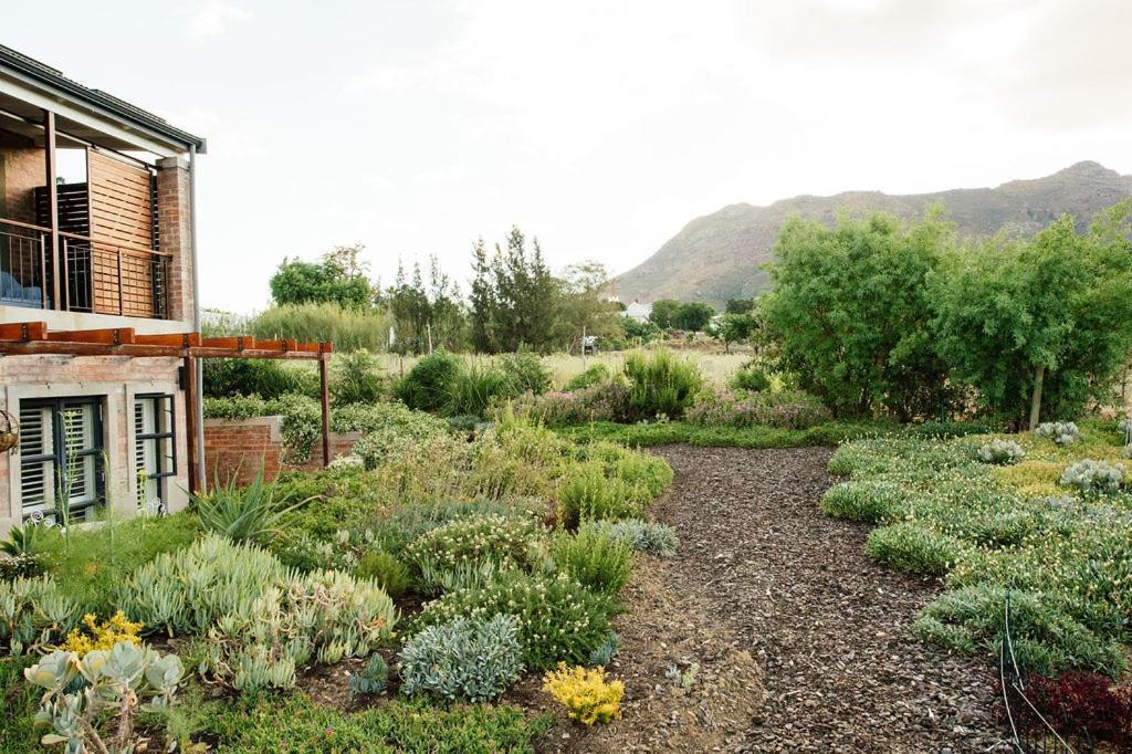 Vineyard Views Country House Riebeek-Kasteel Dış mekan fotoğraf