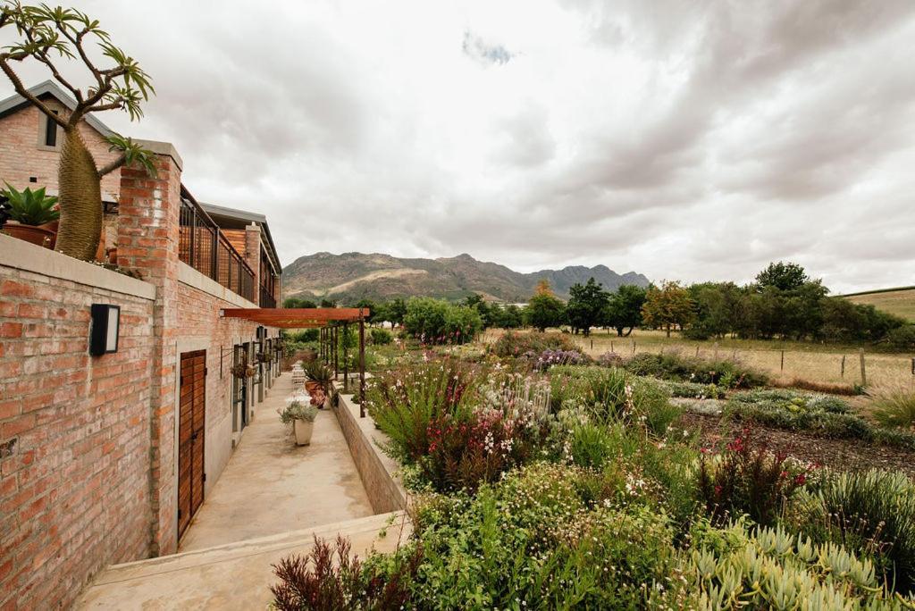 Vineyard Views Country House Riebeek-Kasteel Dış mekan fotoğraf